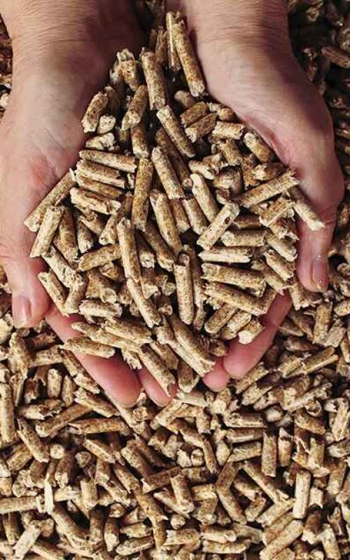 Wood Pellet 2
